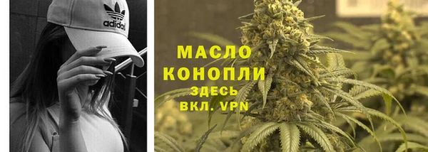 гашик Арсеньев