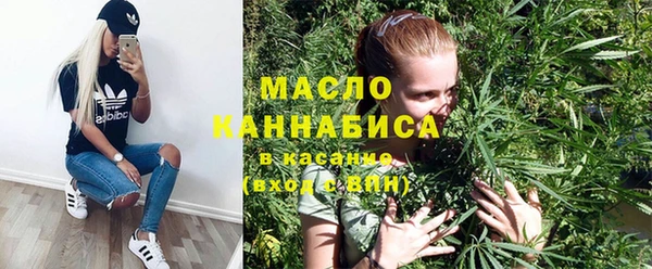 гашик Арсеньев