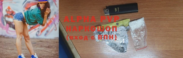 гашик Арсеньев