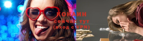 гашик Арсеньев