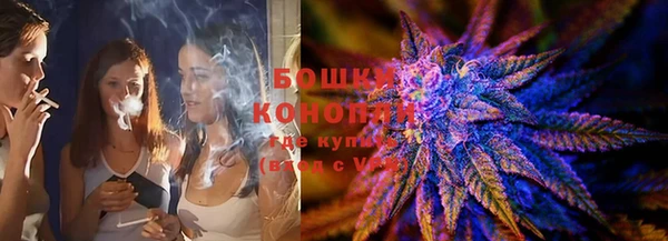 гашик Арсеньев