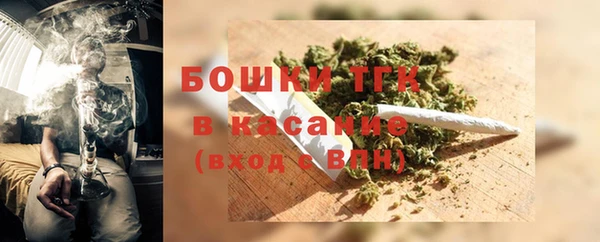гашик Арсеньев